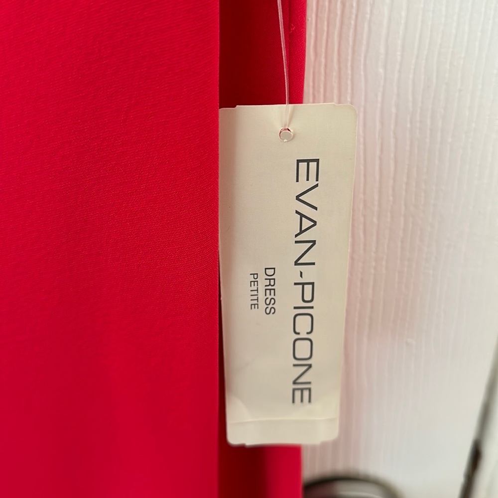Evan Picone Dress-Size 10P